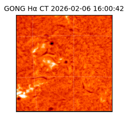 gong - 2026-02-06T16:00:42