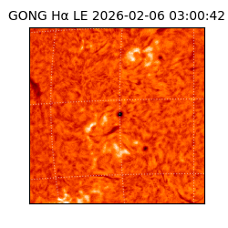 gong - 2026-02-06T03:00:42