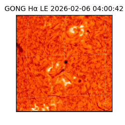 gong - 2026-02-06T04:00:42