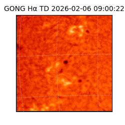 gong - 2026-02-06T09:00:22