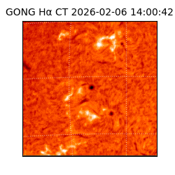 gong - 2026-02-06T14:00:42