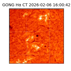 gong - 2026-02-06T16:00:42