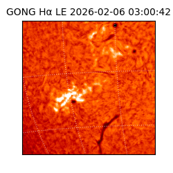 gong - 2026-02-06T03:00:42