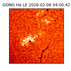 gong - 2026-02-06T04:00:42