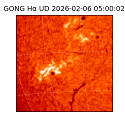 gong - 2026-02-06T05:00:02