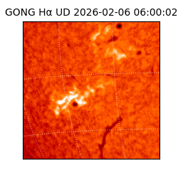 gong - 2026-02-06T06:00:02