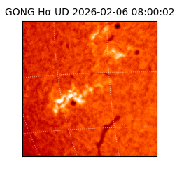 gong - 2026-02-06T08:00:02