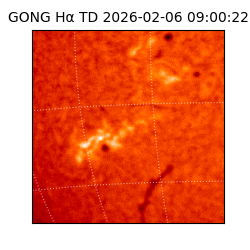 gong - 2026-02-06T09:00:22