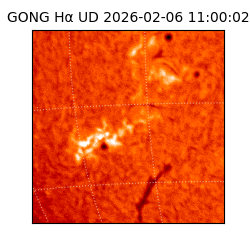 gong - 2026-02-06T11:00:02