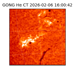 gong - 2026-02-06T16:00:42