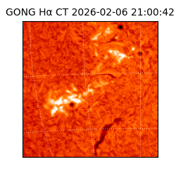 gong - 2026-02-06T21:00:42