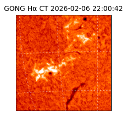 gong - 2026-02-06T22:00:42
