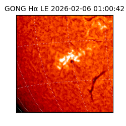 gong - 2026-02-06T01:00:42