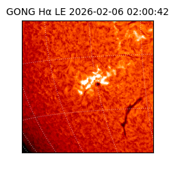 gong - 2026-02-06T02:00:42