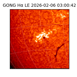 gong - 2026-02-06T03:00:42