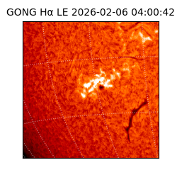 gong - 2026-02-06T04:00:42