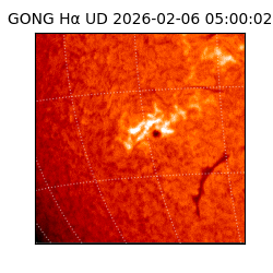 gong - 2026-02-06T05:00:02