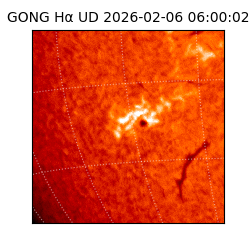 gong - 2026-02-06T06:00:02