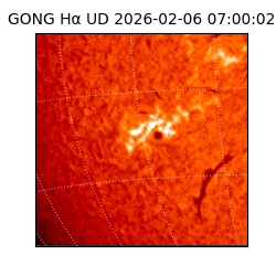 gong - 2026-02-06T07:00:02
