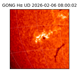 gong - 2026-02-06T08:00:02