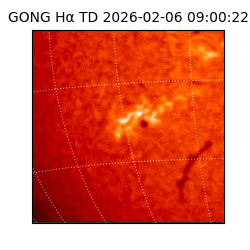 gong - 2026-02-06T09:00:22