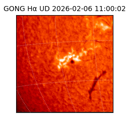 gong - 2026-02-06T11:00:02