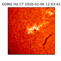 gong - 2026-02-06T12:03:42