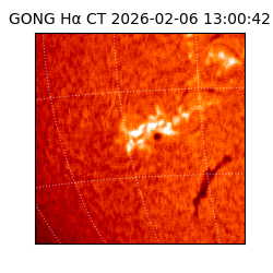 gong - 2026-02-06T13:00:42