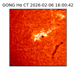 gong - 2026-02-06T16:00:42