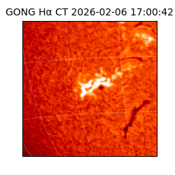 gong - 2026-02-06T17:00:42