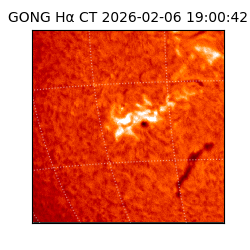 gong - 2026-02-06T19:00:42