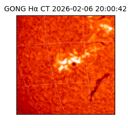 gong - 2026-02-06T20:00:42