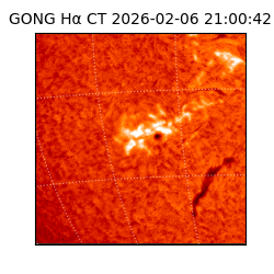 gong - 2026-02-06T21:00:42