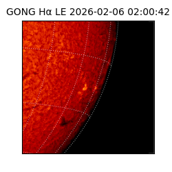 gong - 2026-02-06T02:00:42