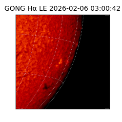 gong - 2026-02-06T03:00:42