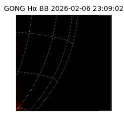 gong - 2026-02-06T23:09:02