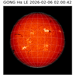 gong - 2026-02-06T02:00:42