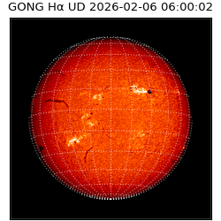 gong - 2026-02-06T06:00:02