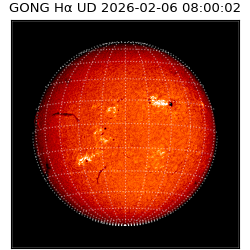 gong - 2026-02-06T08:00:02