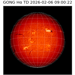 gong - 2026-02-06T09:00:22
