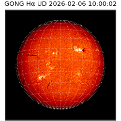 gong - 2026-02-06T10:00:02