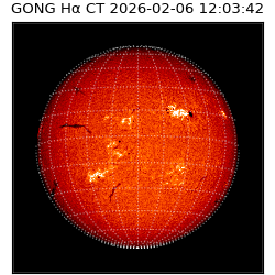 gong - 2026-02-06T12:03:42