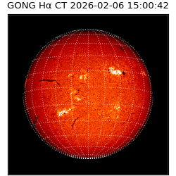 gong - 2026-02-06T15:00:42
