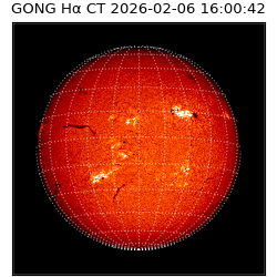 gong - 2026-02-06T16:00:42