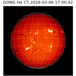 gong - 2026-02-06T17:00:42