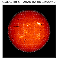 gong - 2026-02-06T19:00:42