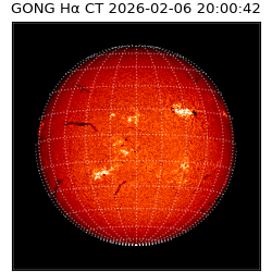 gong - 2026-02-06T20:00:42