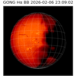 gong - 2026-02-06T23:09:02