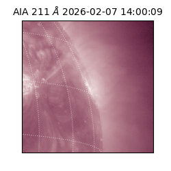 saia - 2026-02-07T14:00:09.633000