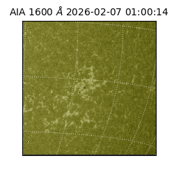 saia - 2026-02-07T01:00:14.125000